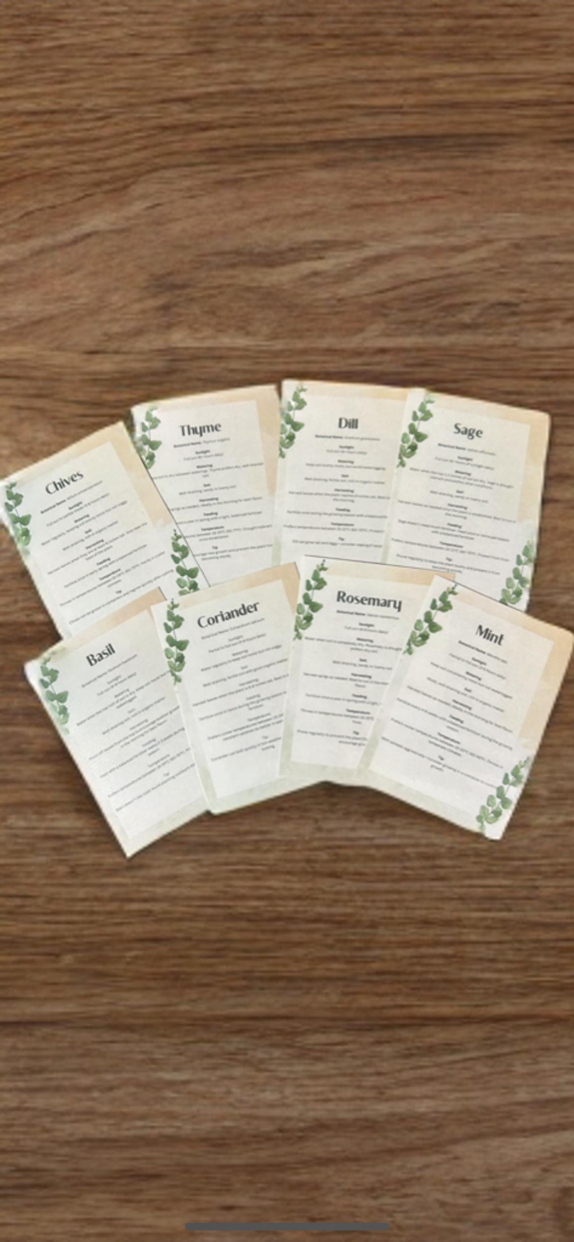 Apricot & Mint Floral Grow Your Own Herbs Garden Gift Set