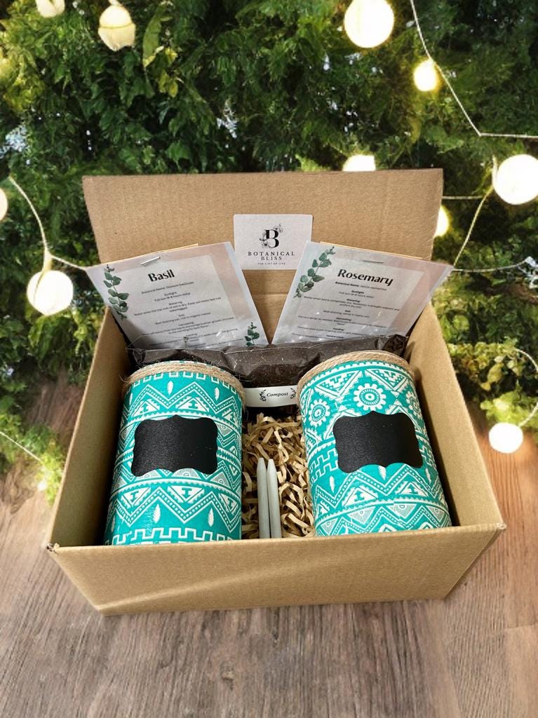 Teal Aztec Tribal Grow Your Own Herbs Garden Gift Set