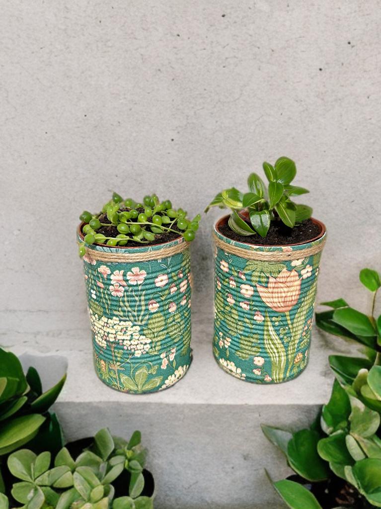 Vintage Green & Cream Floral Grow Your Own Herbs Gift Set