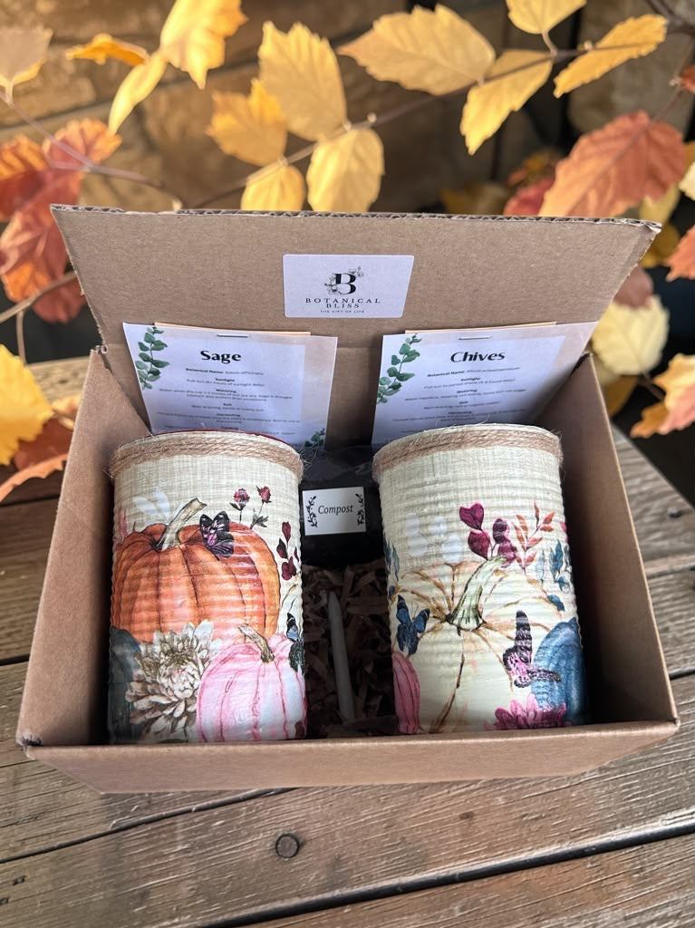 Pumpkin Patch Grow Your Own Herb Garden Gift Set