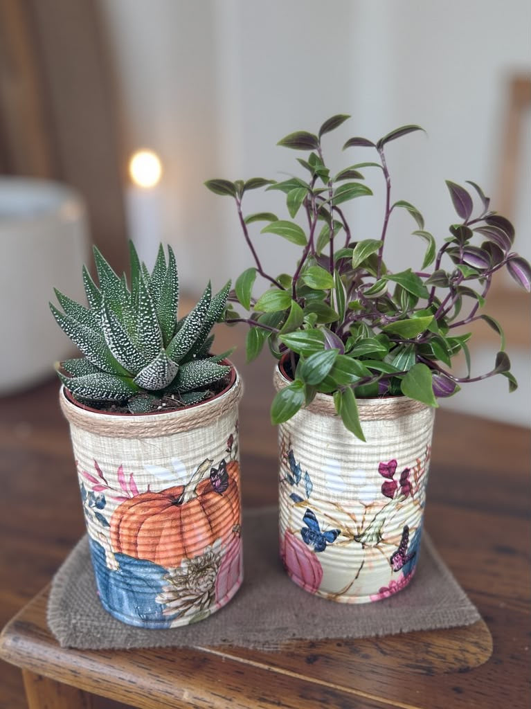 Pumpkin Patch Grow Your Own Herb Garden Gift Set