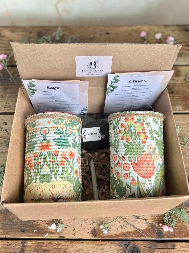 Vintage White & Cream Floral Garden Grow Your Own Herb Garden Gift Set